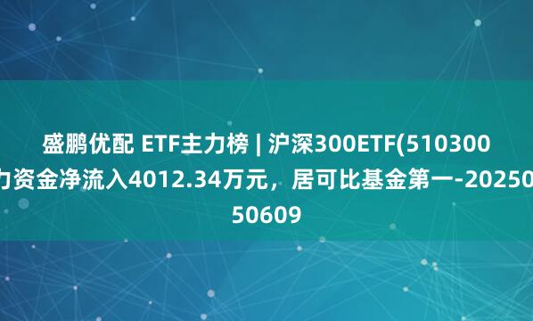 盛鹏优配 ETF主力榜 | 沪深300ETF(510300)主力资金净流入4012.34万元，居可比基金第一-20250609