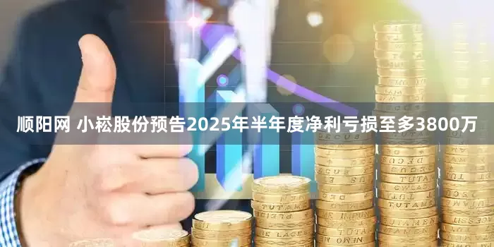 顺阳网 小崧股份预告2025年半年度净利亏损至多3800万