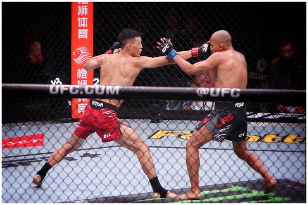 富隆咨询 UFC重返上海，一场赛事与一座城的共生密码